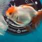 Thai oranda goldfish Two Live Fish ( F + M Pack 2 ) Size 4 + inches Juven